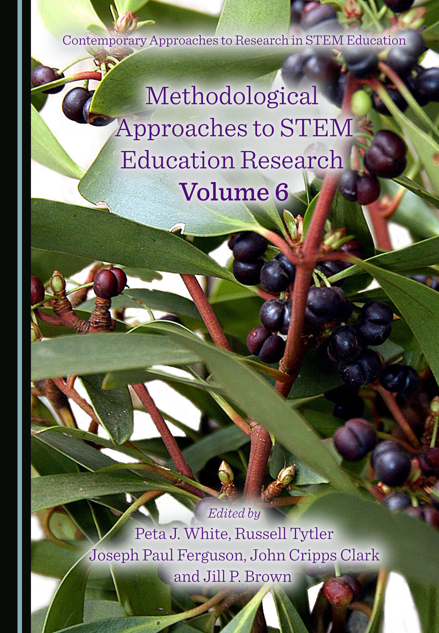 Methodological Approaches to STEM Education Research Volume 6 - Cambridge  Scholars Publishing